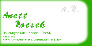 anett mocsek business card